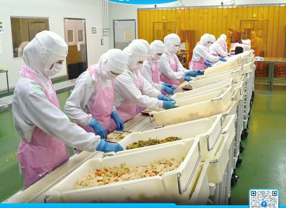 In Đồng Phục Bảo Hộ Uy Tín – Giá Tốt – Hỗ Trợ Thiết Kế Miễn Phí