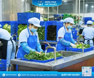 Tạp Dề Nhựa Chống Nước Giá Rẻ TP.HCM – Nhận Đặt Theo Yêu Cầu
