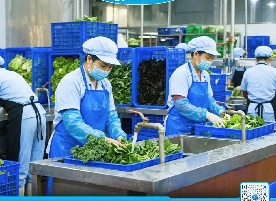 Tạp Dề Nhựa Chống Nước Giá Rẻ TP.HCM – Nhận Đặt Theo Yêu Cầu